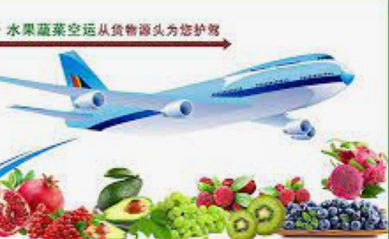 How to Import Fruit to Cambodia